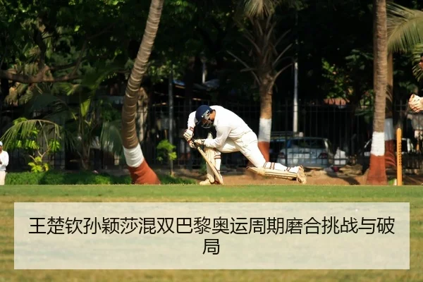 wang-chu-qin-sun-ying-sha-hun-shuang-ba-li-ao-yun-zhou-qi-mo-he-tiao-zhan-yu-po-ju-2-695.jpg